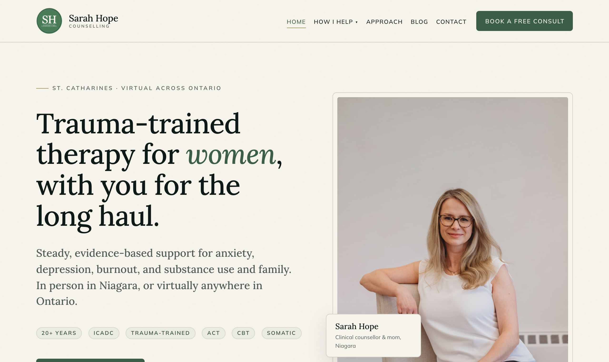 Above-the-fold preview of the Steady Ground homepage
